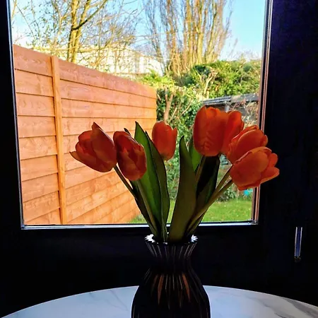 Near Amsterdam Volendam Purmerend